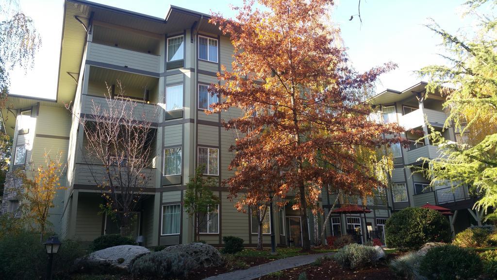 Plaza Inn & Suites At Ashland Creek Εξωτερικό φωτογραφία